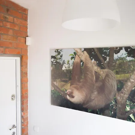 Lazytown ゲストハウス *