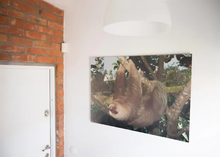 Lazytown ゲストハウス *